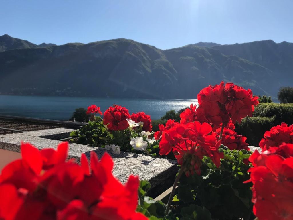 Angelina'S House With Lake View - بيلاجيو المظهر الخارجي الصورة